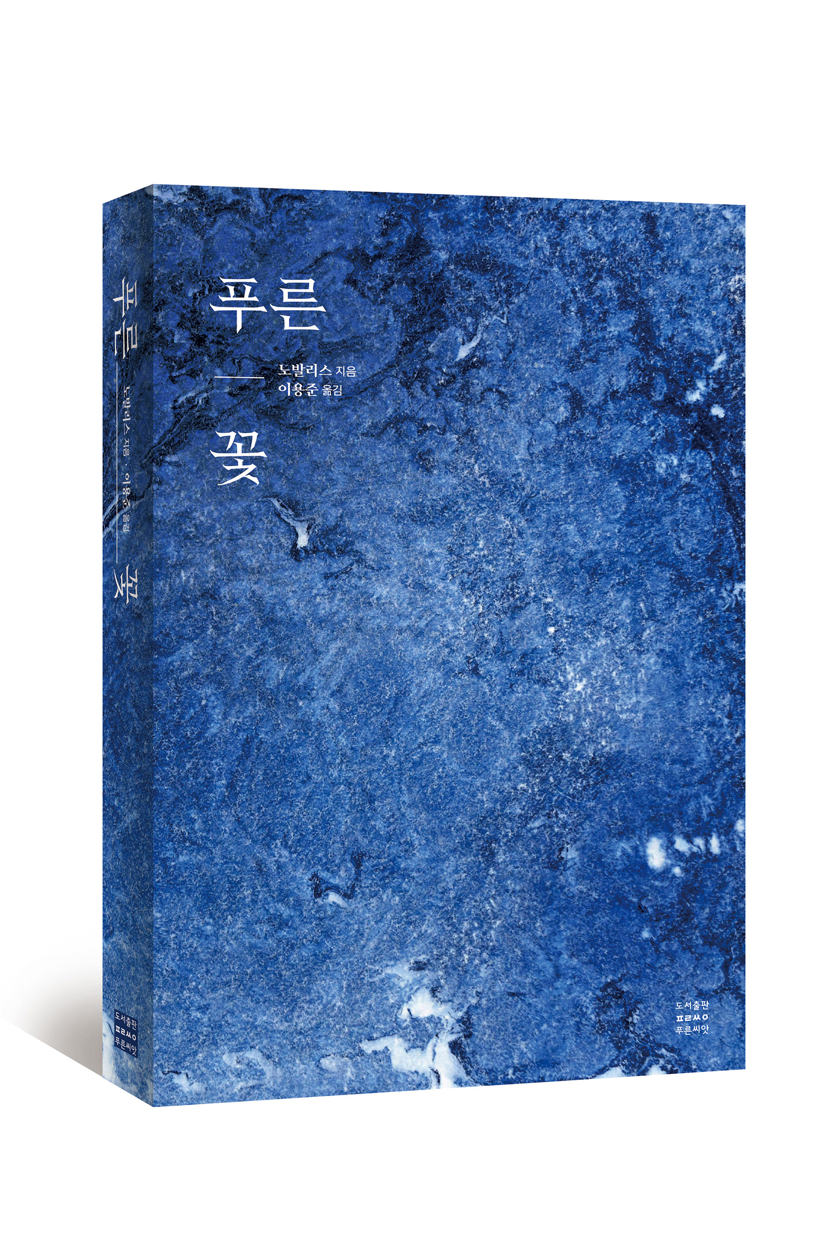 대표 이미지
