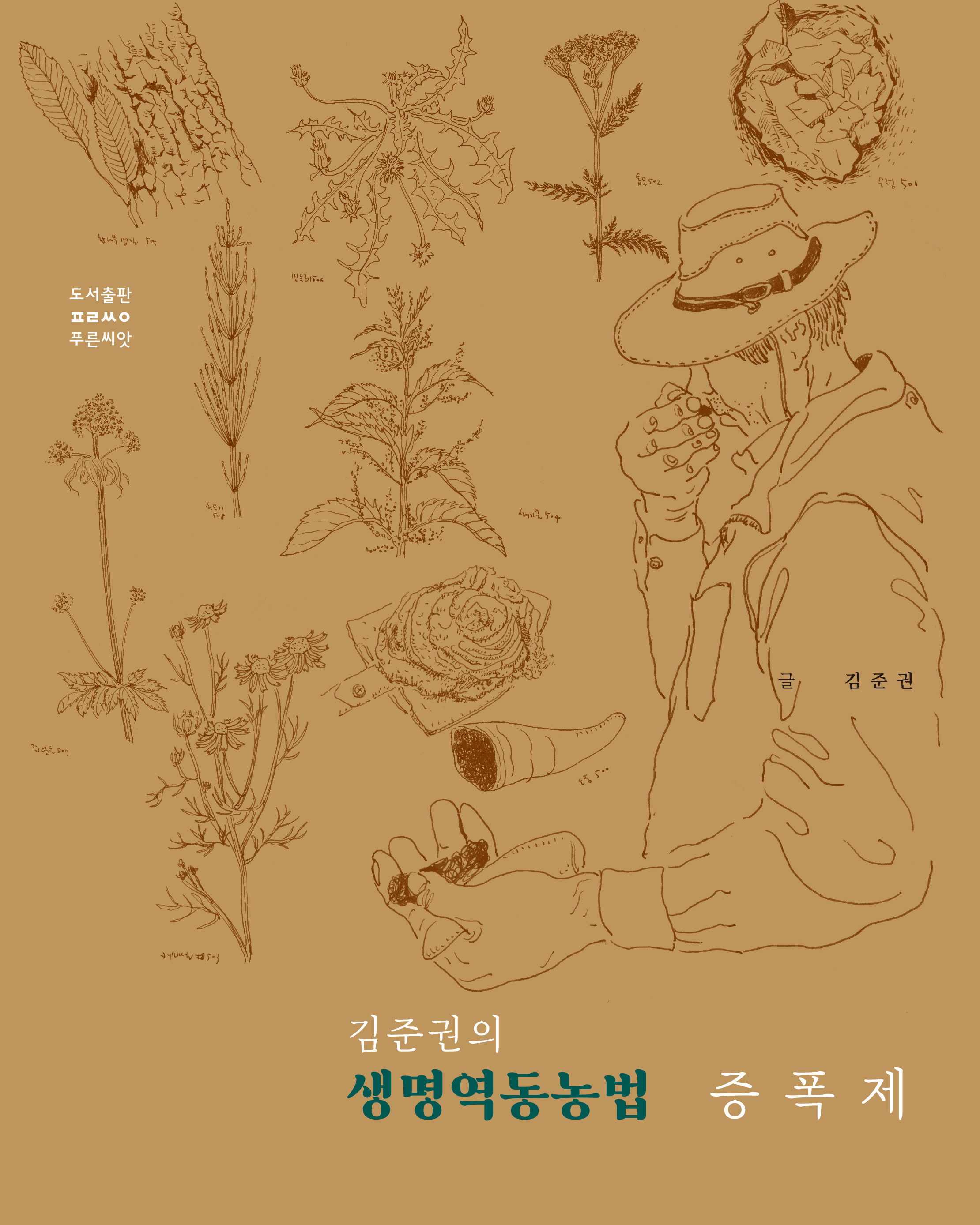 cover 1