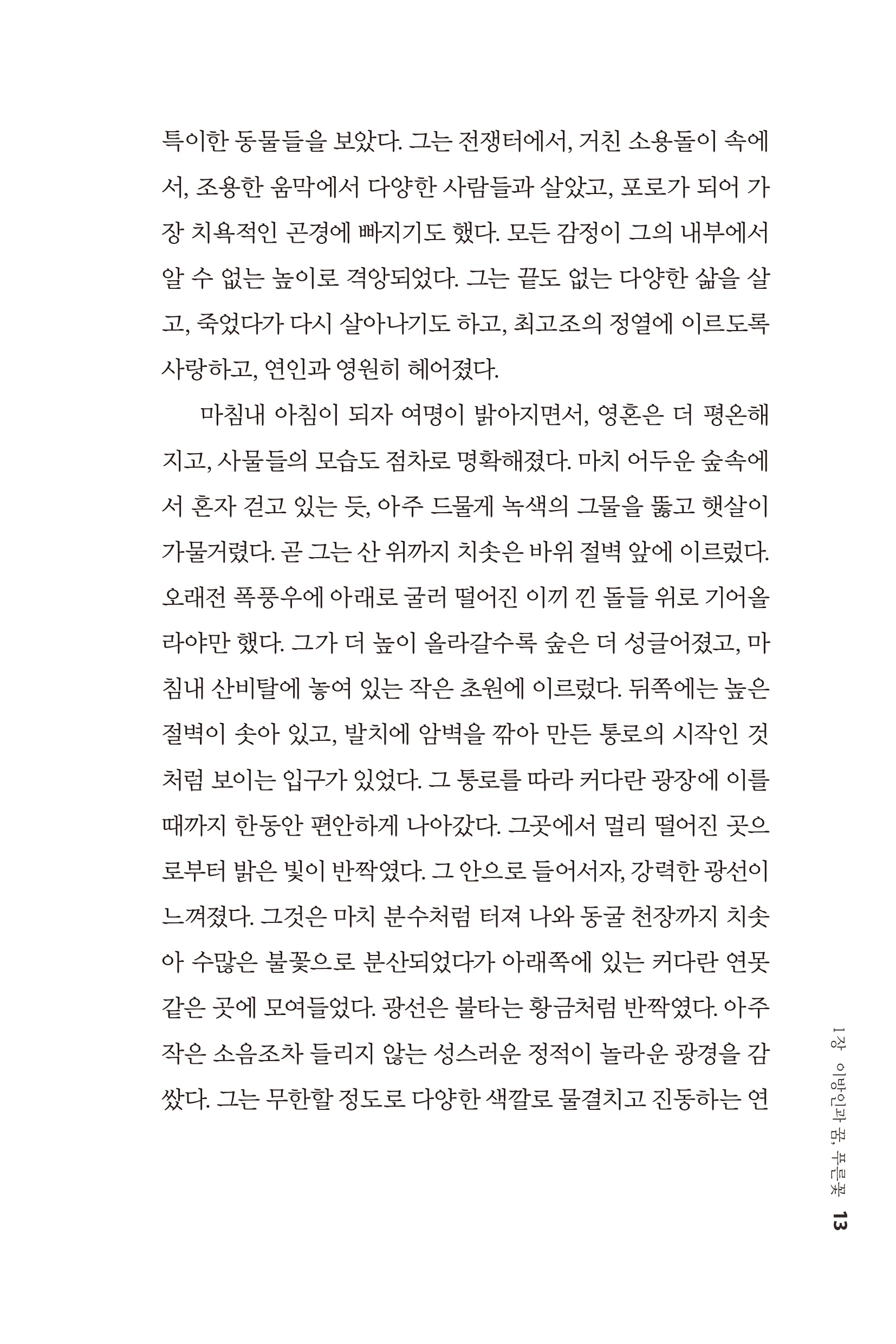 cover 13