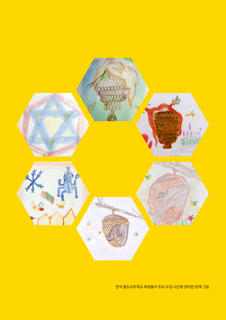 cover 3