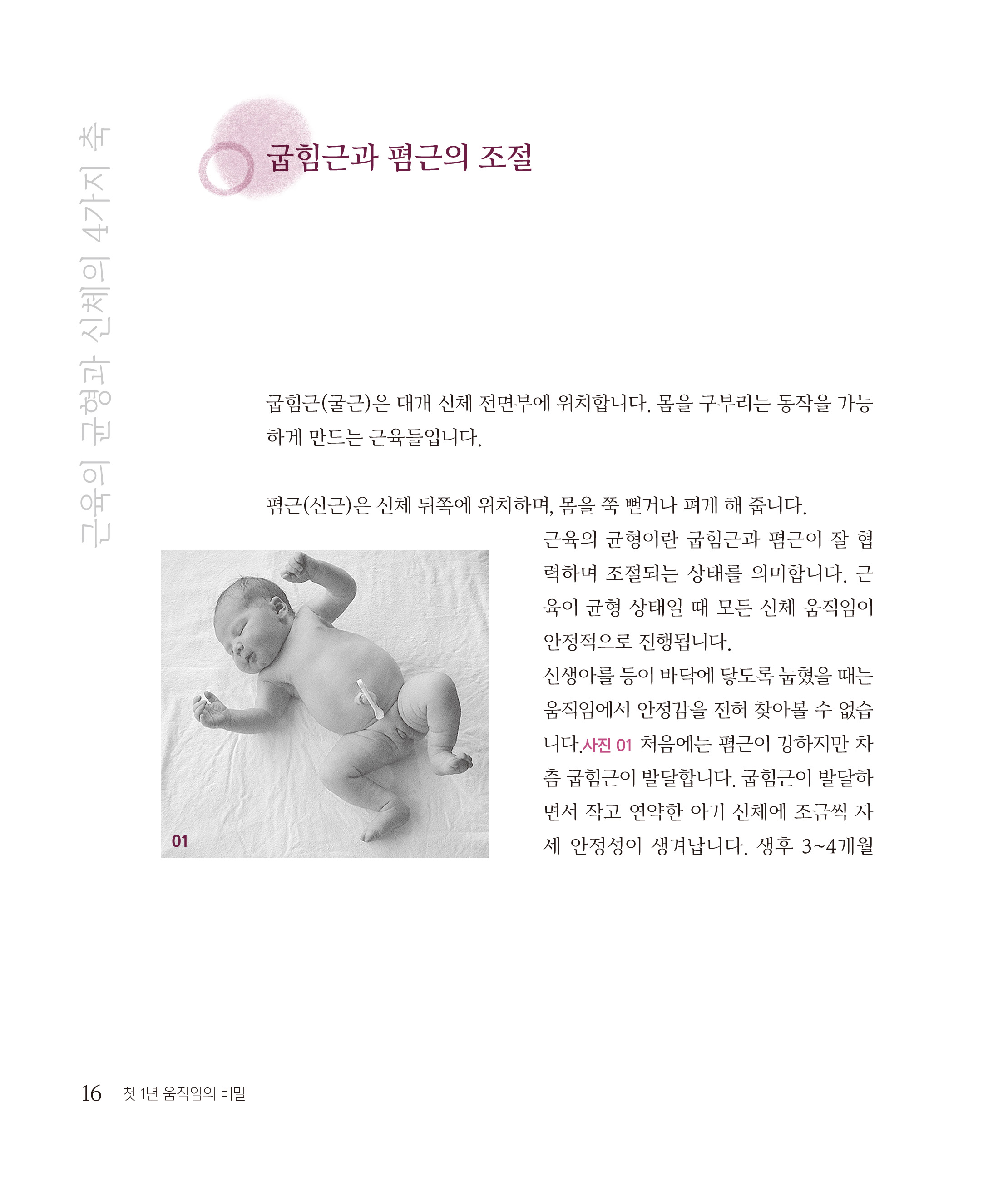 cover 24