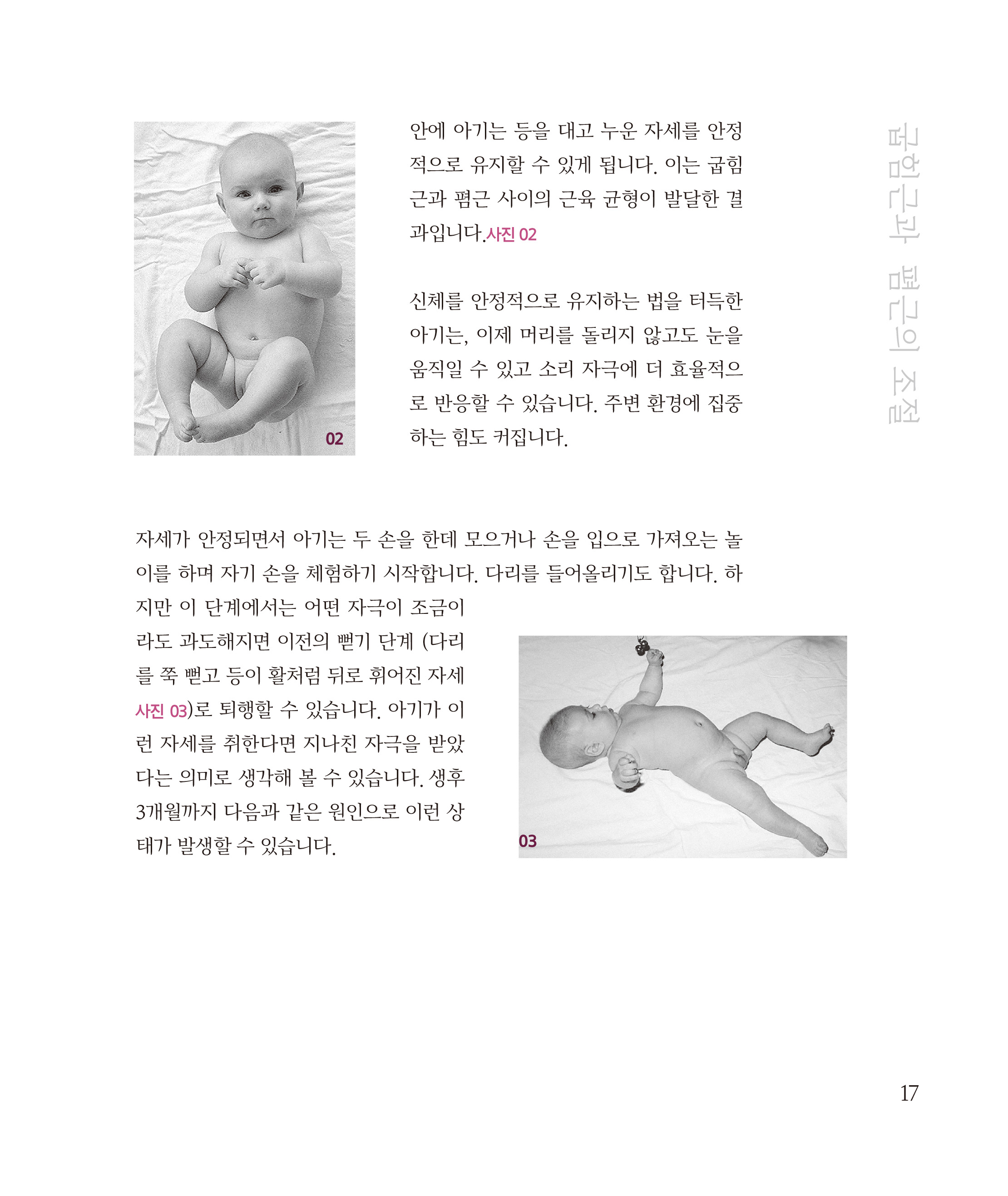 cover 25