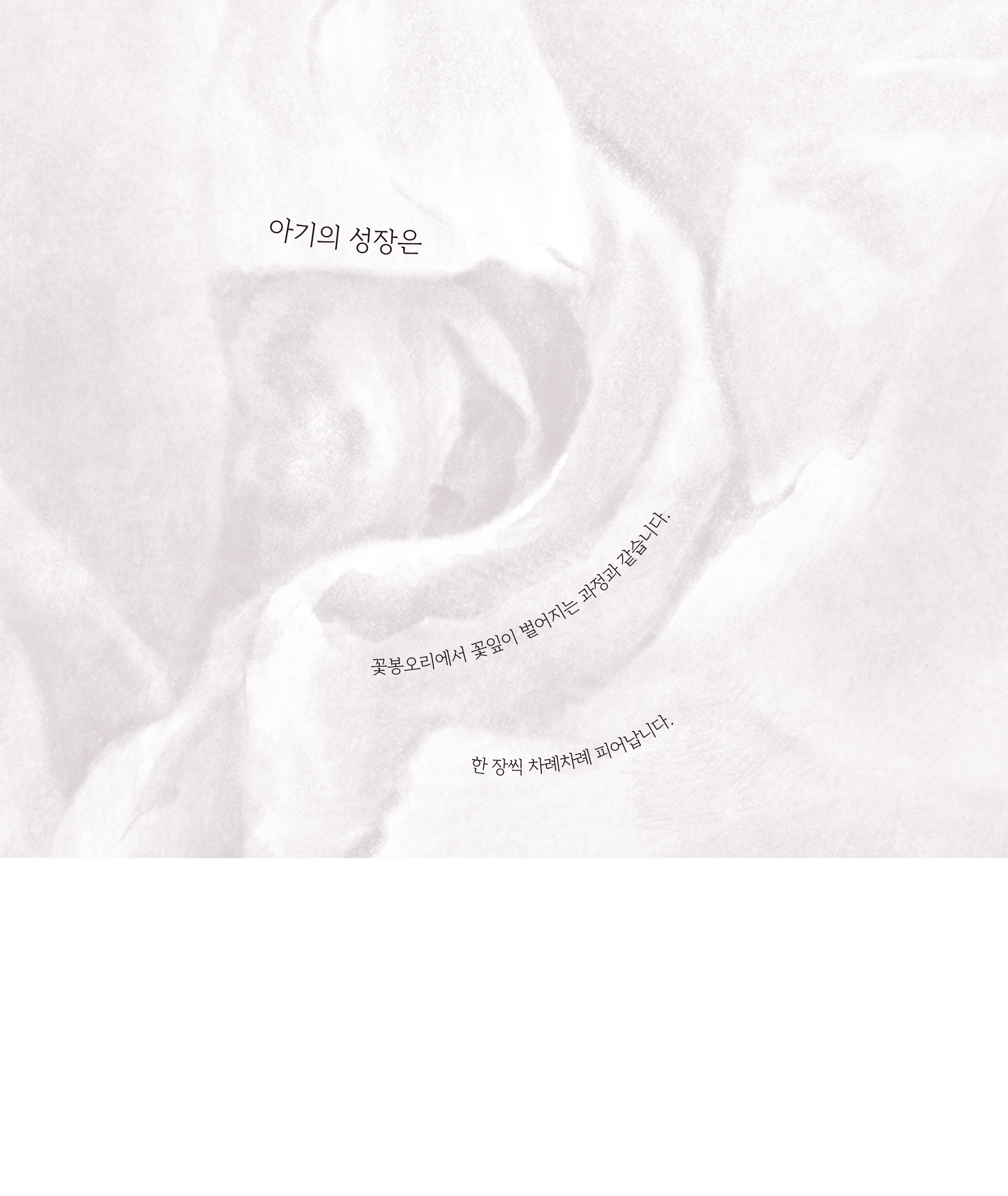cover 15
